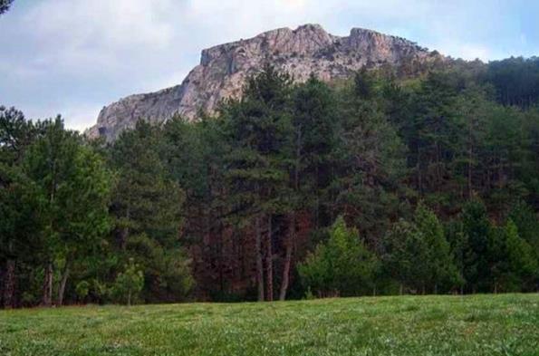 saricali milli parki
